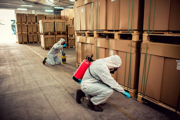 Reliable Logansport, LA Pest Control Solutions