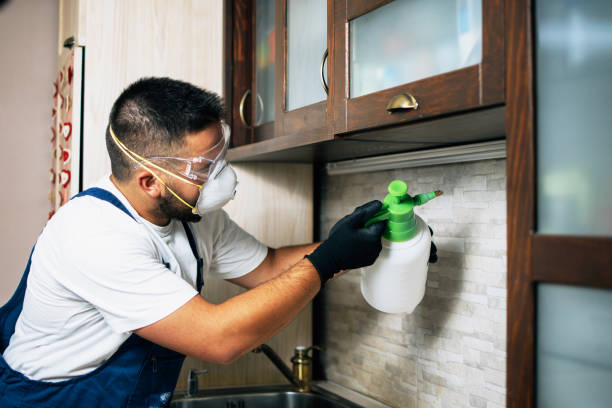 Best Wasp Removal Services  in Logansport, LA