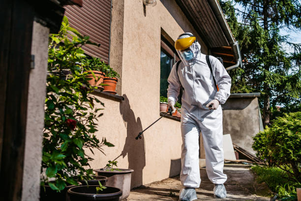 Best Insect Control  in Logansport, LA