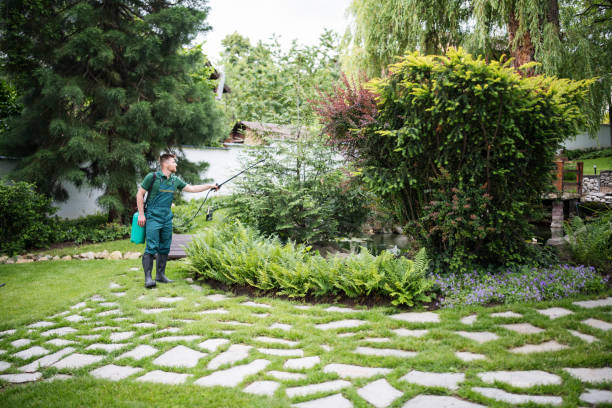 Best Mosquito Control Services  in Logansport, LA