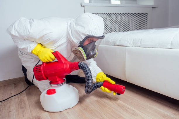Best Best Pest Control Companies  in Logansport, LA