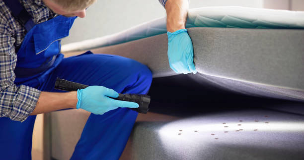 Best Pest Prevention Services  in Logansport, LA