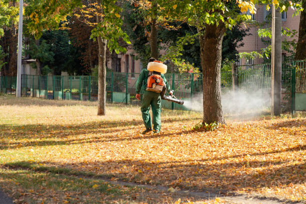 Best Termite Control Services  in Logansport, LA
