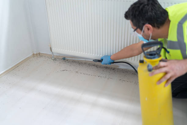 Best Exterminator Services  in Logansport, LA