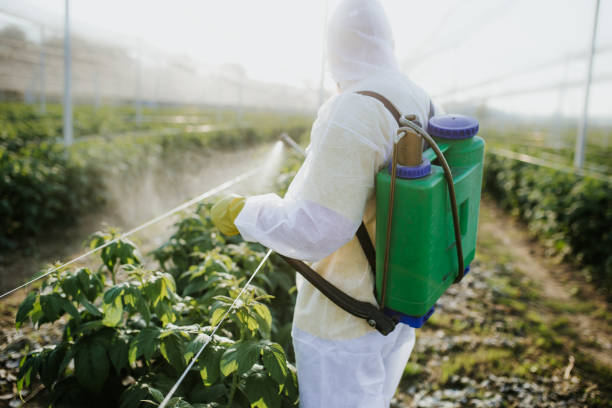 Best Cockroach Control Services  in Logansport, LA